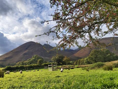 Catbells Camping Barn – Rustic Accommodation on the slopes of Catbells