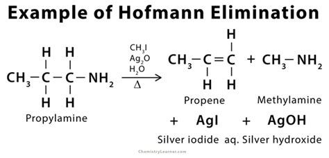 Hofmann Elimination: Definition, Example, and Mechanism