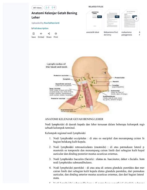 Dlscrib - Judndhdndjdj hdhydmdhddn hjdvdhxbd - Anatomi Kelenjar Getah Bening Leher Uploaded by ...