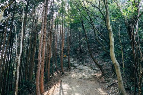 12 Best Hiking Trails Near Tokyo Suited For Everyone | Japan Wonder Travel Blog