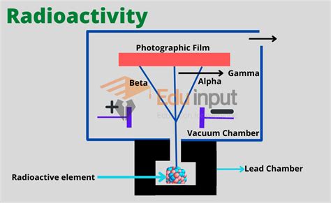 Radioactivity Definition Geology at Patricia Heroux blog