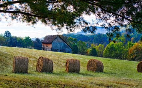 Wallpaper : trees, landscape, forest, fall, nature, grass, field, photography, farm, barn, fence ...