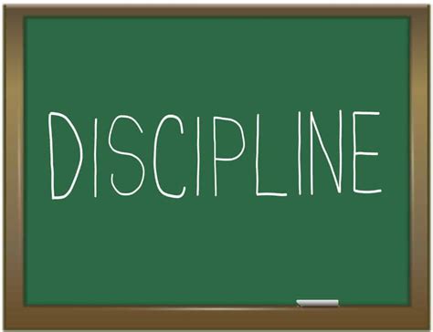 Discipline – Telegraph