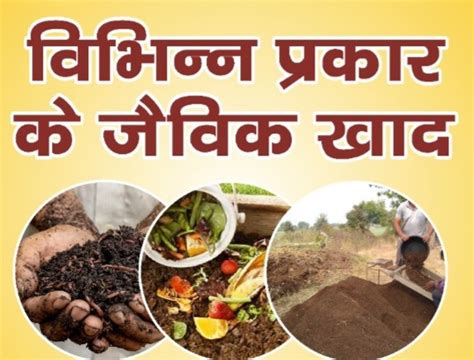 जैव उर्वरकों की प्रयोग विधि तथा सावधानियां Biofertilizers- Application Methods and Precautions