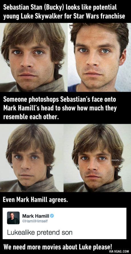 The 25+ best Sebastian stan luke skywalker ideas on Pinterest | Who ...