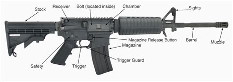 Partes De Un Rifle