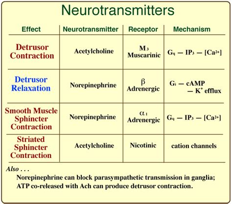 Neurotransmitters and Receptors