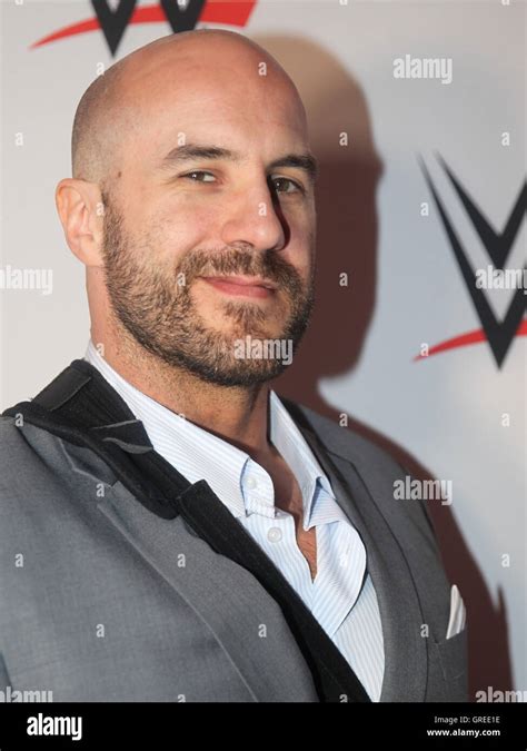 Wwe Superstar Cesaro Stock Photo - Alamy