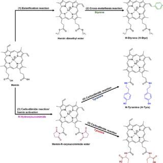 A general scheme for hemin modification through carbodiimide reaction ...