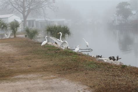 Photos | Ruskin florida, Weather photos, Weather network