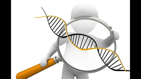 Chromosome 2. Part 2. The Initial Fusion and Its Propagation. - YouTube