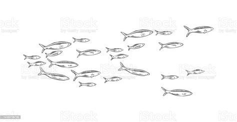 Hand Drawn Marine School Of Fish Sketch Style Vector Illustration Stock Illustration - Download ...