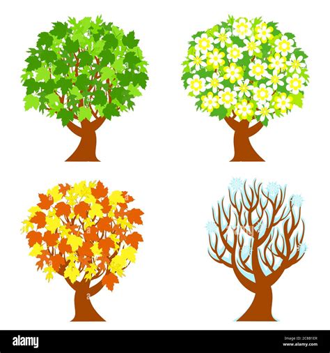 Bộ sưu tập 222 4 seasons background vector Chất lượng cao, đa dạng màu sắc