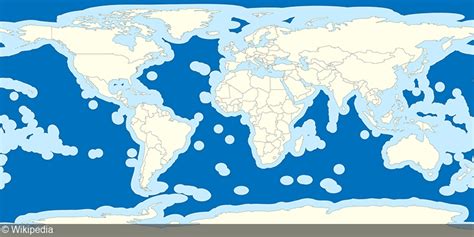 High Seas Treaty: Landmark Agreement Reached after Two Decades of Talks