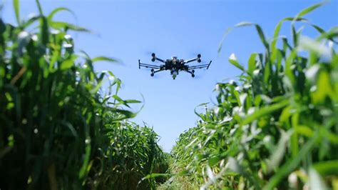 Benefits of drone-based monitoring in agriculture | Britannica