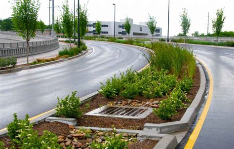 Pin on Landscape- SUDs/ Rain Garden