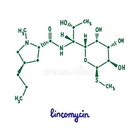 Lincomycin Hand Drawn Vector Formula Chemical Structure Lettering Blue Green Stock Vector ...