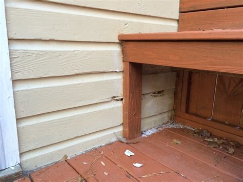 How can I repair this rotted section of wood siding? - Home Improvement Stack Exchange