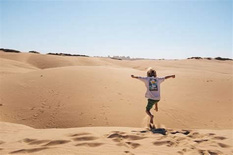 Pismo Beach Sand Dunes: The Essential Guide to Visiting Oceano Dunes