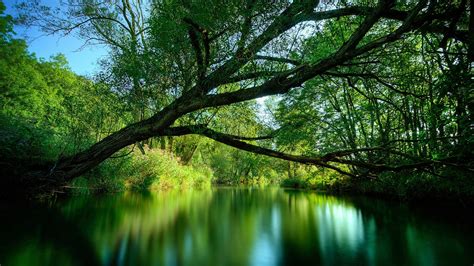 blurred, Nature, River Wallpapers HD / Desktop and Mobile Backgrounds