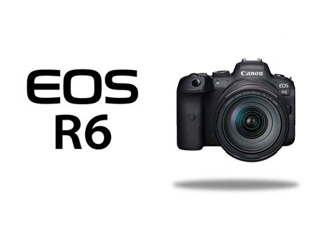 Best Lenses for Canon EOS R6 - Daily Camera News