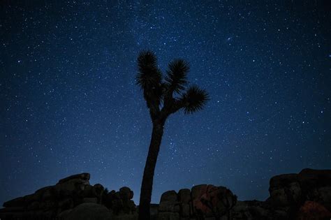 How to take better photos of the night sky in Joshua Tree - Los Angeles ...