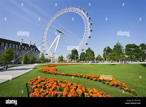 England, London, London Eye and Jubilee Gardens Stock Photo - Alamy