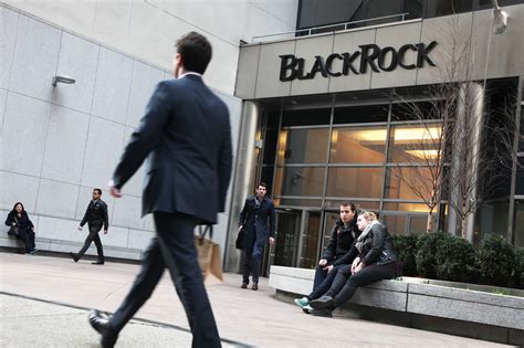 BlackRock’s Rick Rieder says the world’s largest asset manager has ‘started to dabble’ in ...