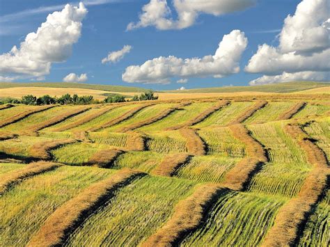 Saskatchewan: Celebrating the Beauty of Canada’s Most Underrated Province | Landscape ...