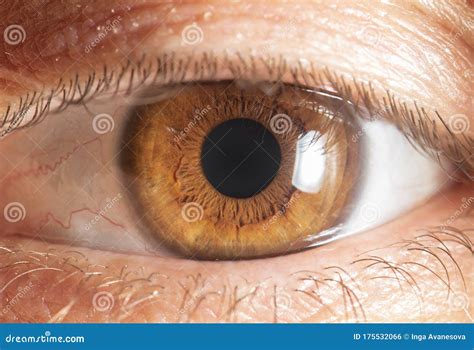 Human Eye Close Up. Macro Photography. Stock Photo - Image of eyeball ...