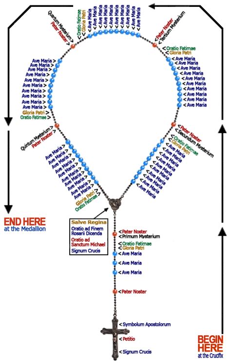 Diagram of the Complete Rosary in Latin | Rosary catholic, Rosary, Rosary beads catholic