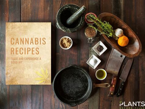 Easy to Prepare Cannabis Recipes | Plants Before Pills