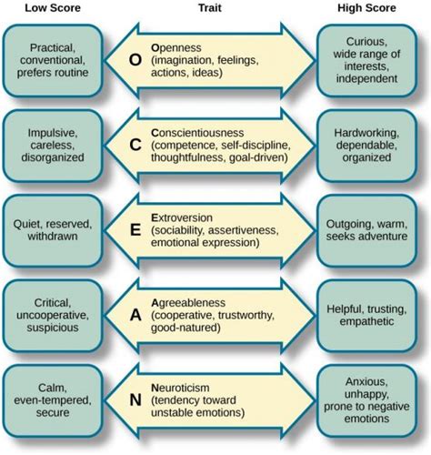 The Importance of Personality Trait Screening for Today’s Organizations ...