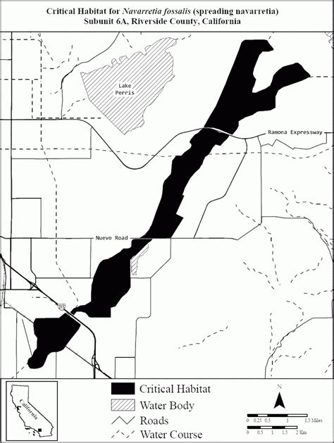 Earth's Internet & Natural Networking: San Jacinto River Wildlife ...