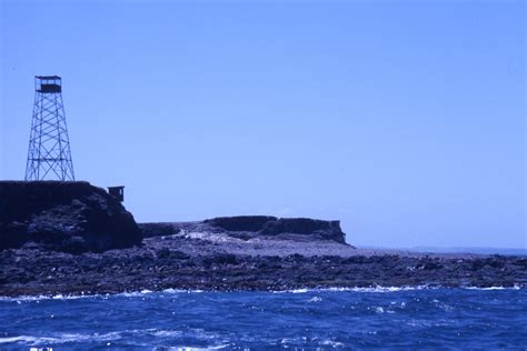 Weston Langford400539: Phillip Island Victoria Seal Rocks
