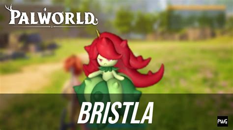 Bristla | Location, Breeding, Stats, Skills - Palworld Guide