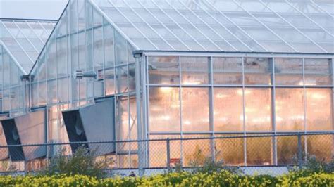 The Benefits of Greenhouse Polycarbonate Panels - Greenhouse Grower