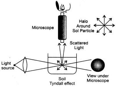 Optical Property of Colloids - QS Study