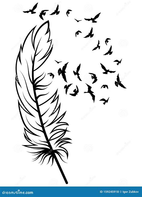 Feather and Birds. Black and White Vector Illustration of Stylized ...