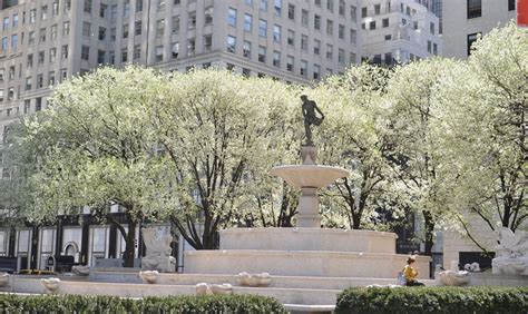 Fountains in New York City’s Parks : NYC Parks