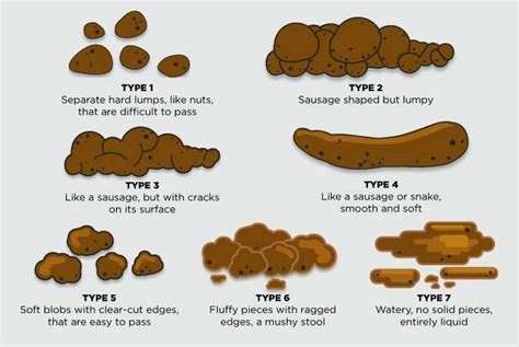 Different Ways To Poop