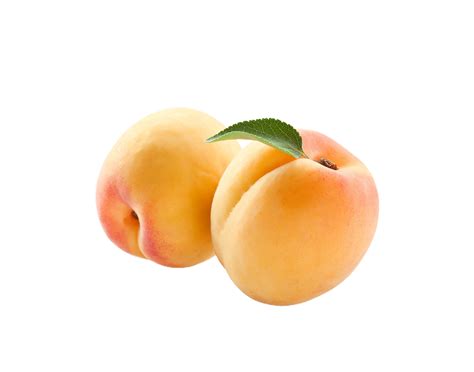 Apricot png transparent background 29228587 PNG