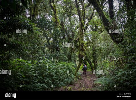 Mount Mulanje, a giant massif in southern district, Malawi, is the ...