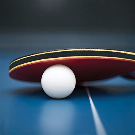 Table Tennis Bat Smooth With Sponge Rubber