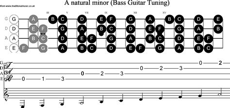 E Flat Natural Minor Scale For Bass Guitar - vrogue.co