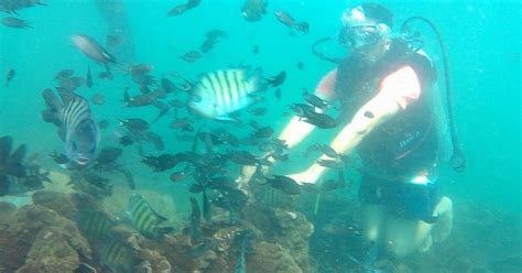 Tarkarli scuba diving: Explore the underwater paradise of Tarkarli beach