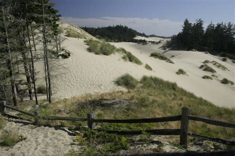 Sand dunes at Florence Oregon | Oregon dunes, Florence oregon, Recreation area