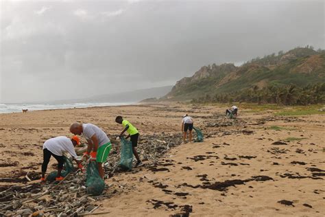 Summer Stewardship Activities – Part 2 – Great Ecology