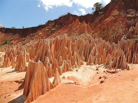 Tsingy Rouge Park (Antsiranana (Diego Suarez)) - 2020 Qué saber antes de ir - Lo más comentado ...