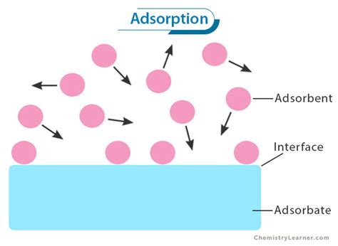 Adsorption: Definition, Types, Examples, and Applications